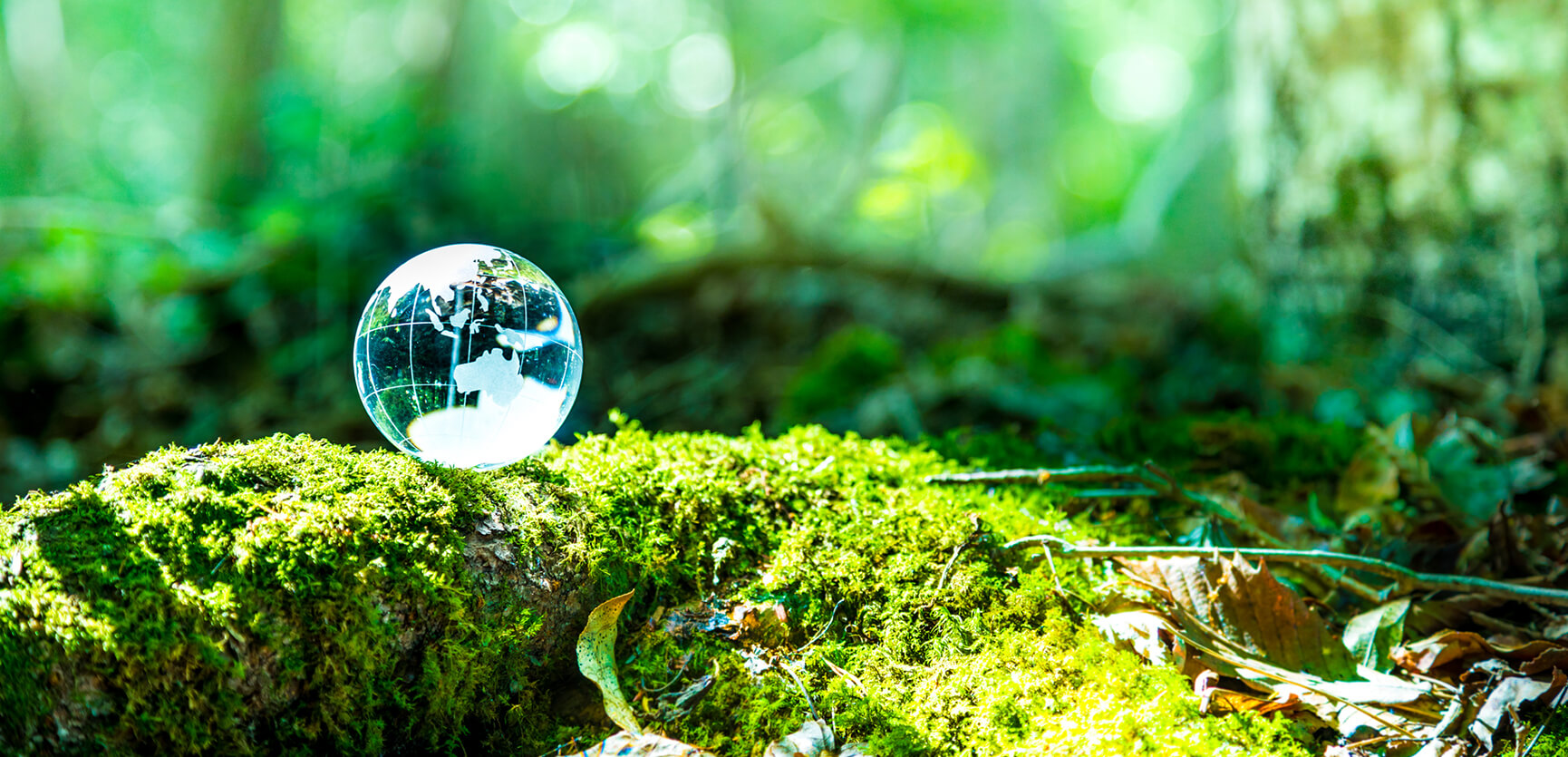 2050年カーボンニュートラルの実現に向けて Toward the realization of carbon neutrality in 2050